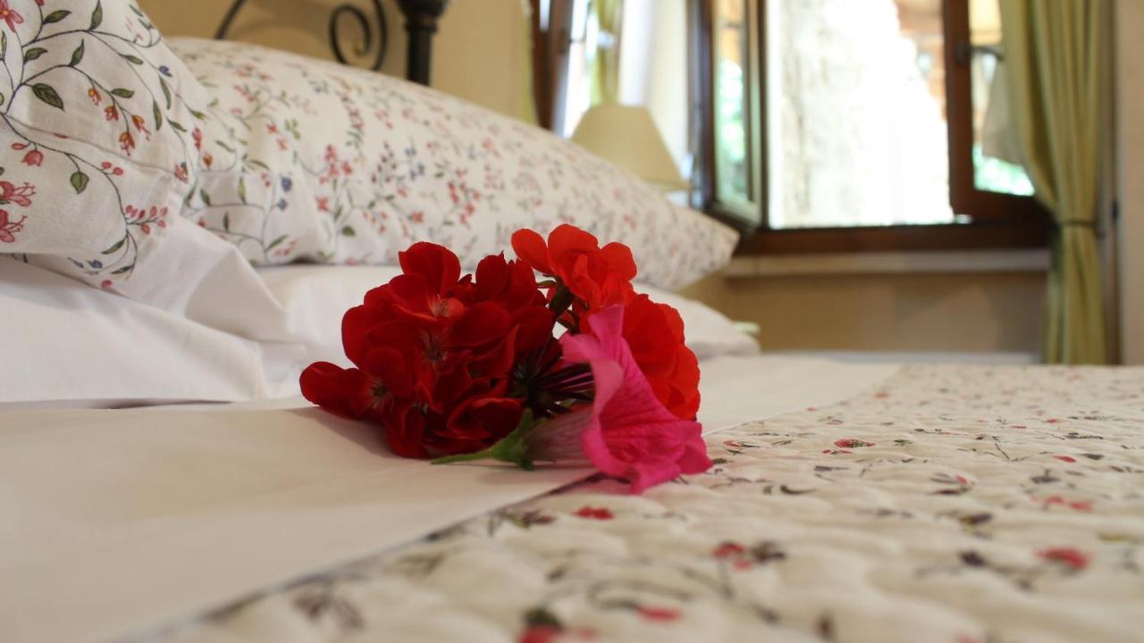 B&B Lo Gnomo Pennapiedimonte Εξωτερικό φωτογραφία